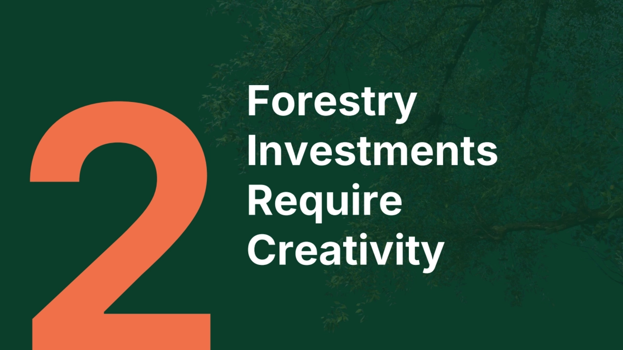 Forestry 
Investments 
Require 
Creativity