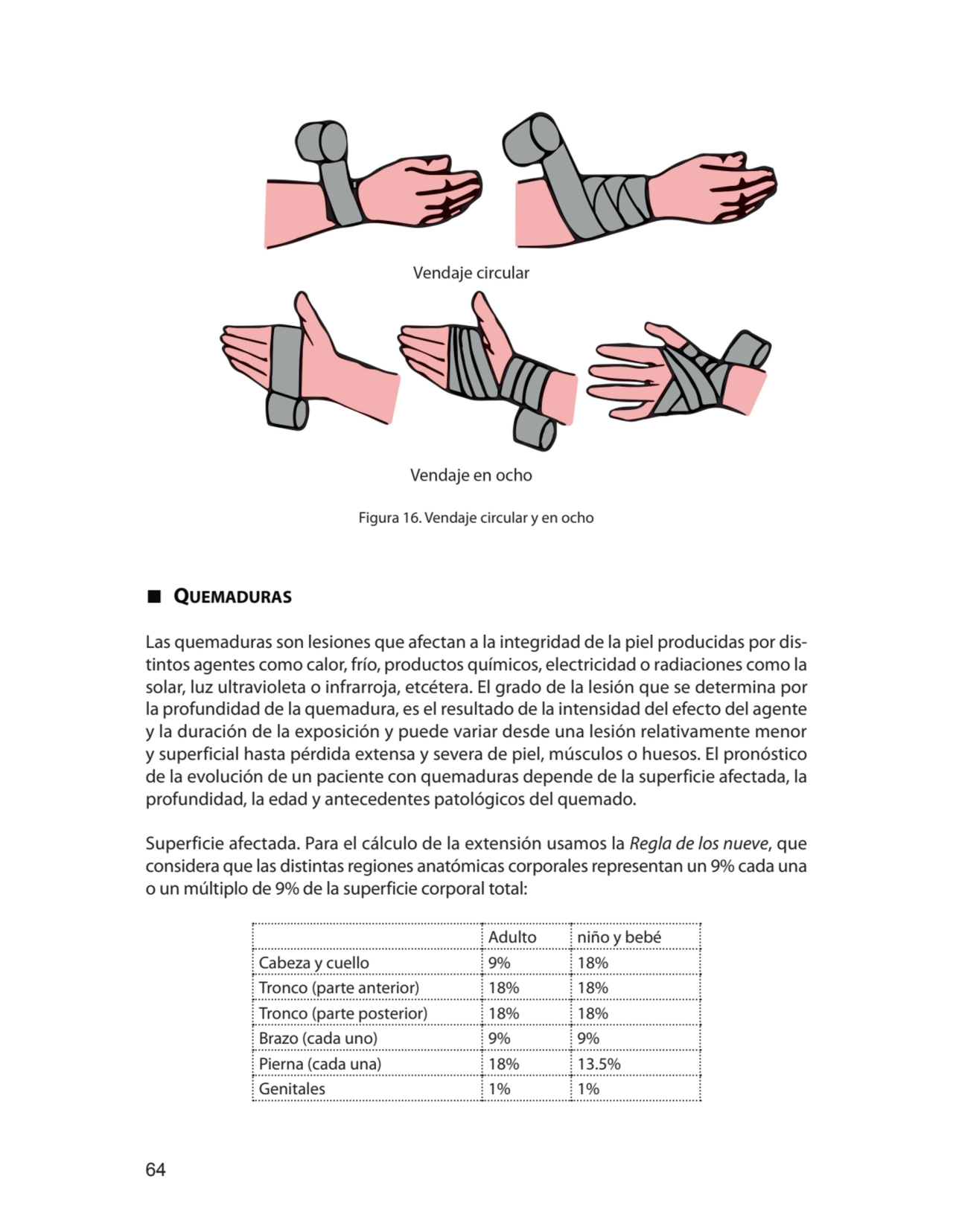 64
Figura 16. Vendaje circular y en ocho
∎ queMaduras
Las quemaduras son lesiones que afectan a …
