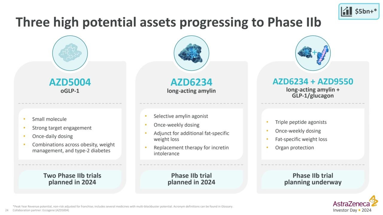 Investor Day • 2024
Three high potential assets progressing to Phase IIb 
24
*Peak Year Revenue …