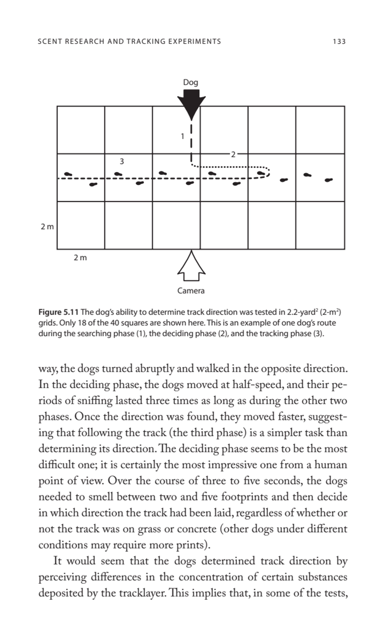 SCENT RESEARCH AND TRACKING EXPERIMENTS 133
way, the dogs turned abruptly and walked in the opposi…