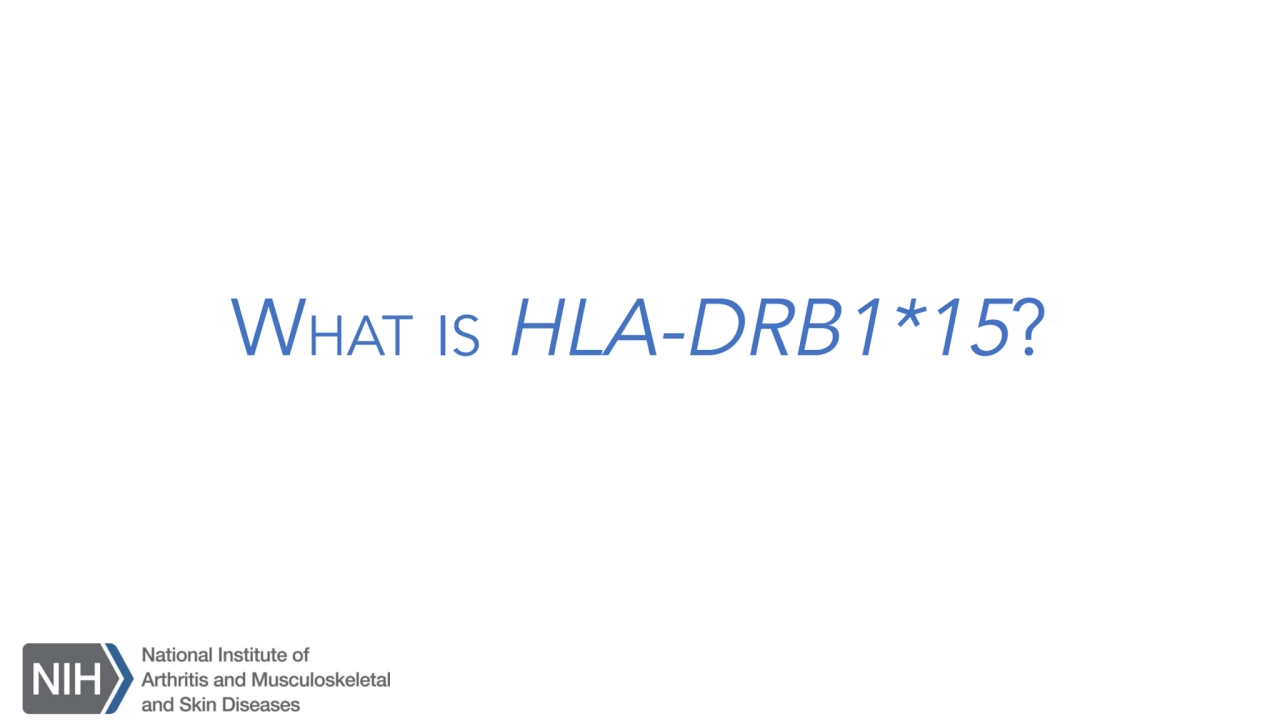 WHAT IS HLA-DRB1*15?