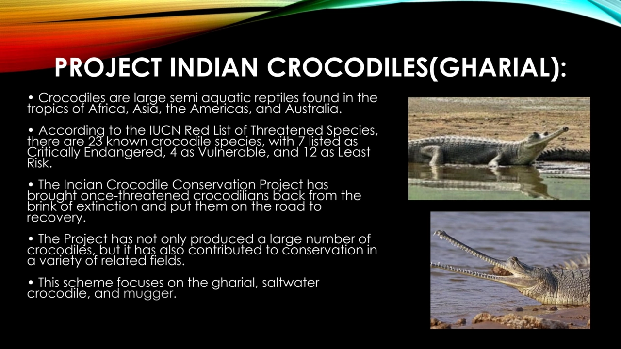 PROJECT INDIAN CROCODILES(GHARIAL):
• Crocodiles are large semi aquatic reptiles found in the 
tr…