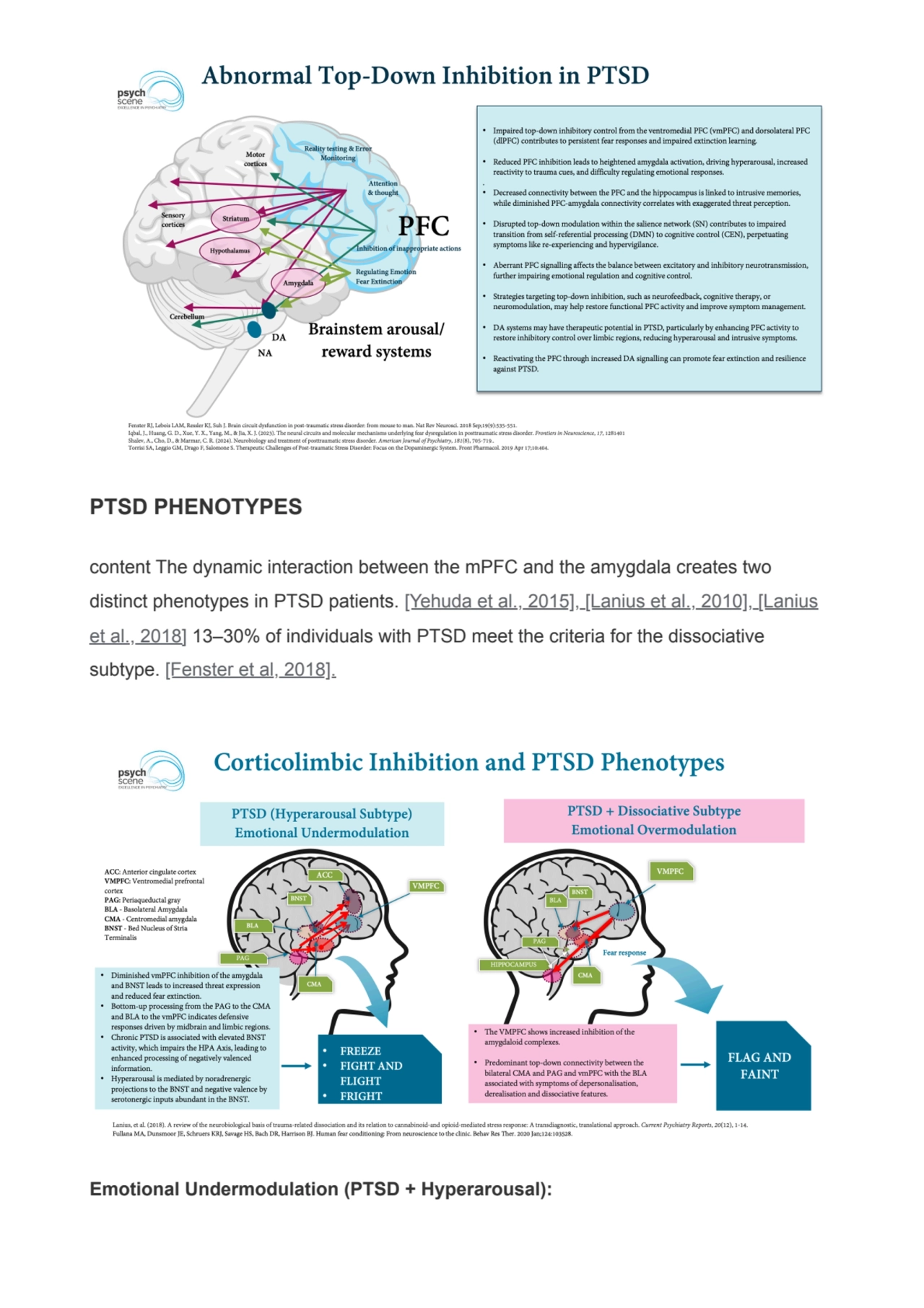 PTSD PHENOTYPES
content The dynamic interaction between the mPFC and the amygdala creates two
dis…