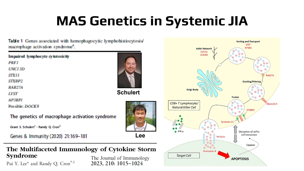 MAS Genetics in Systemic JIA
Schulert
Lee