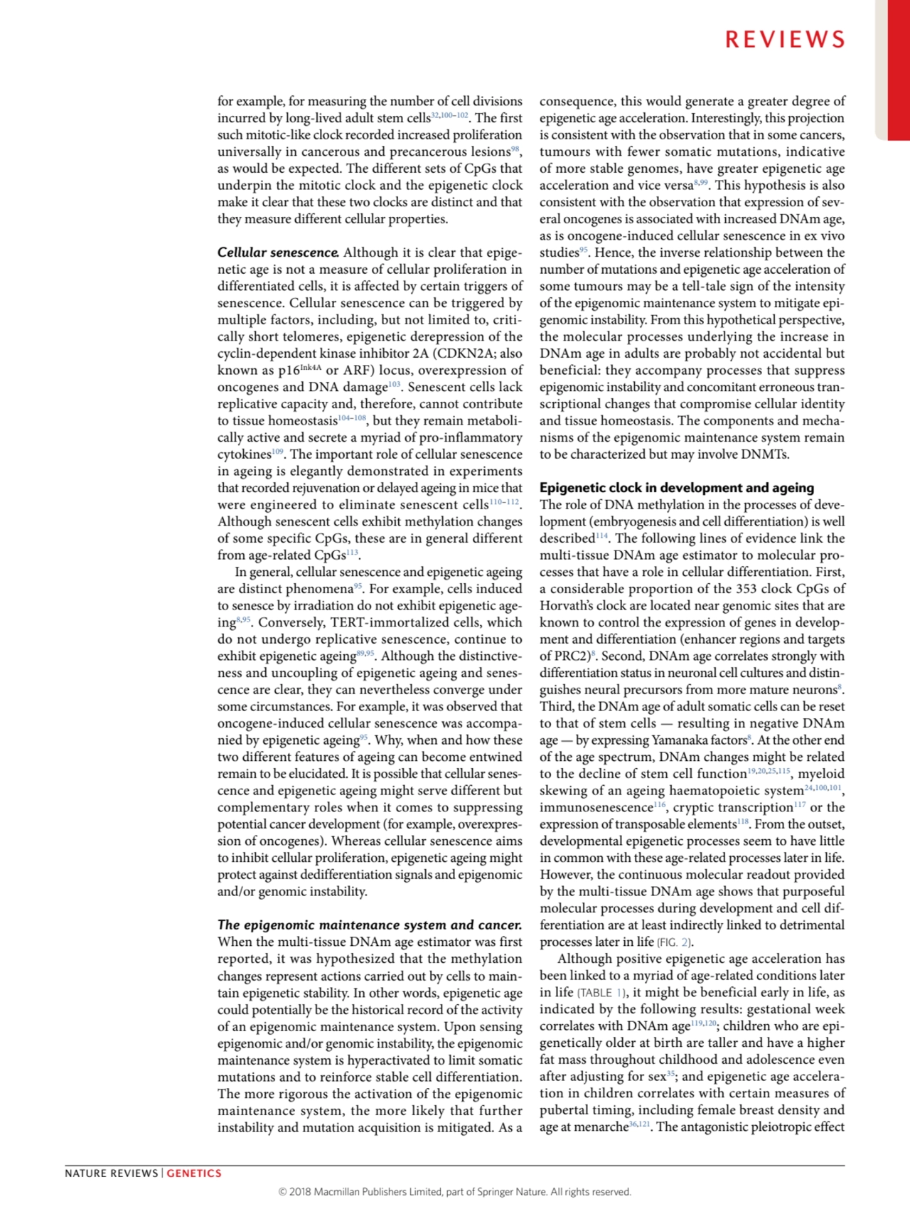 for example, for measuring the number of cell divisions 
incurred by long-lived adult stem cells32…