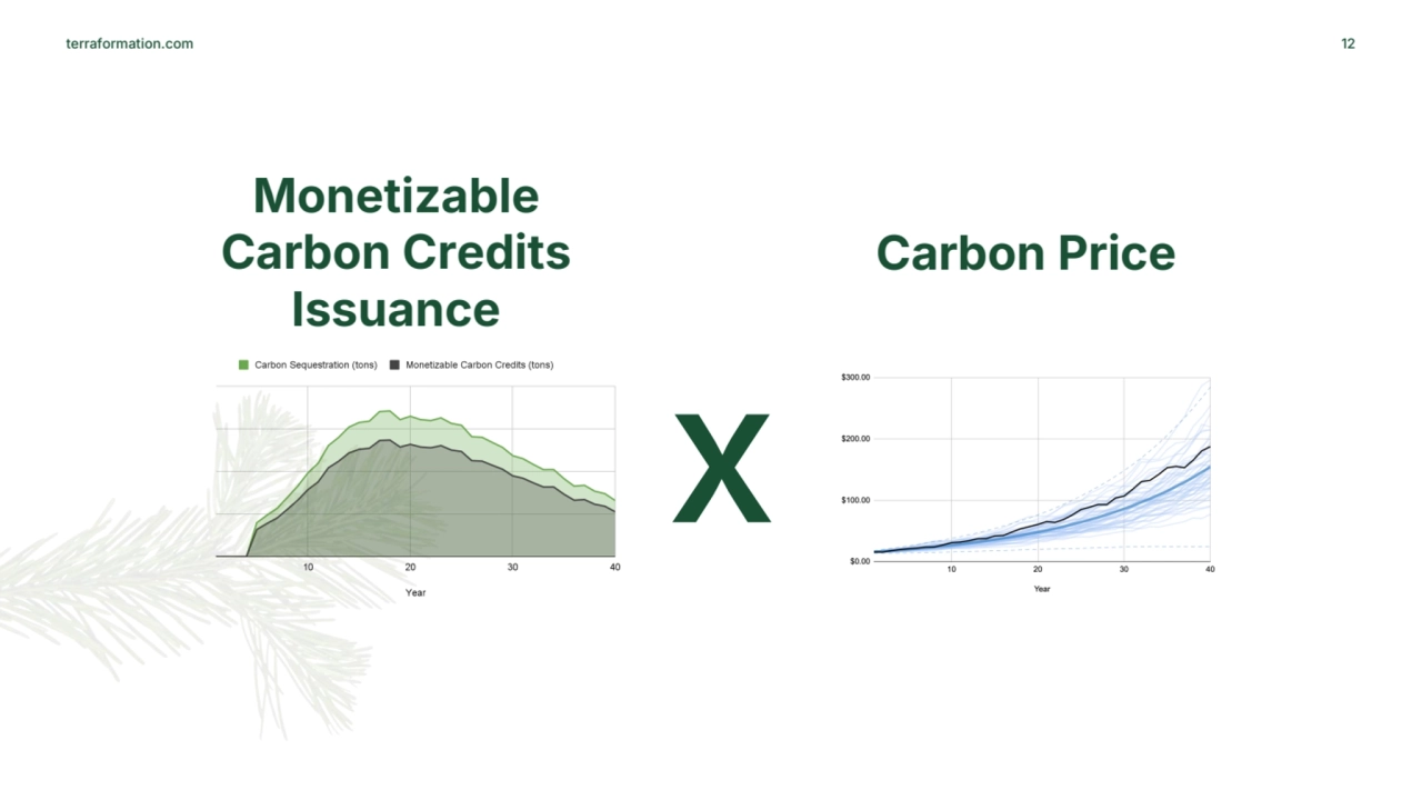 terraformation.com 12
x
Monetizable 
Carbon Credits 
Issuance
Carbon Price