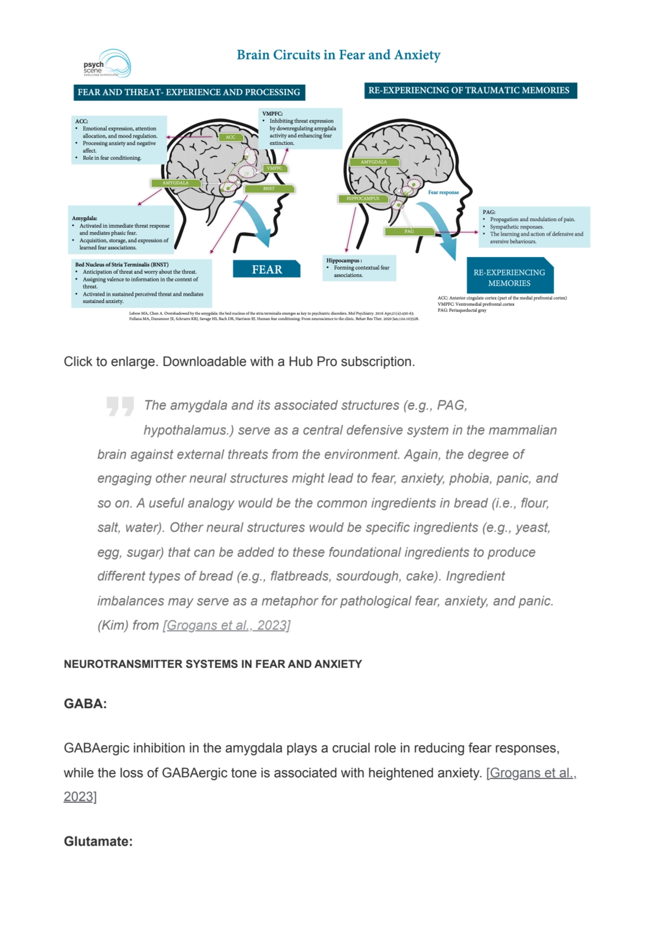 Click to enlarge. Downloadable with a Hub Pro subscription.
NEUROTRANSMITTER SYSTEMS IN FEAR AND A…