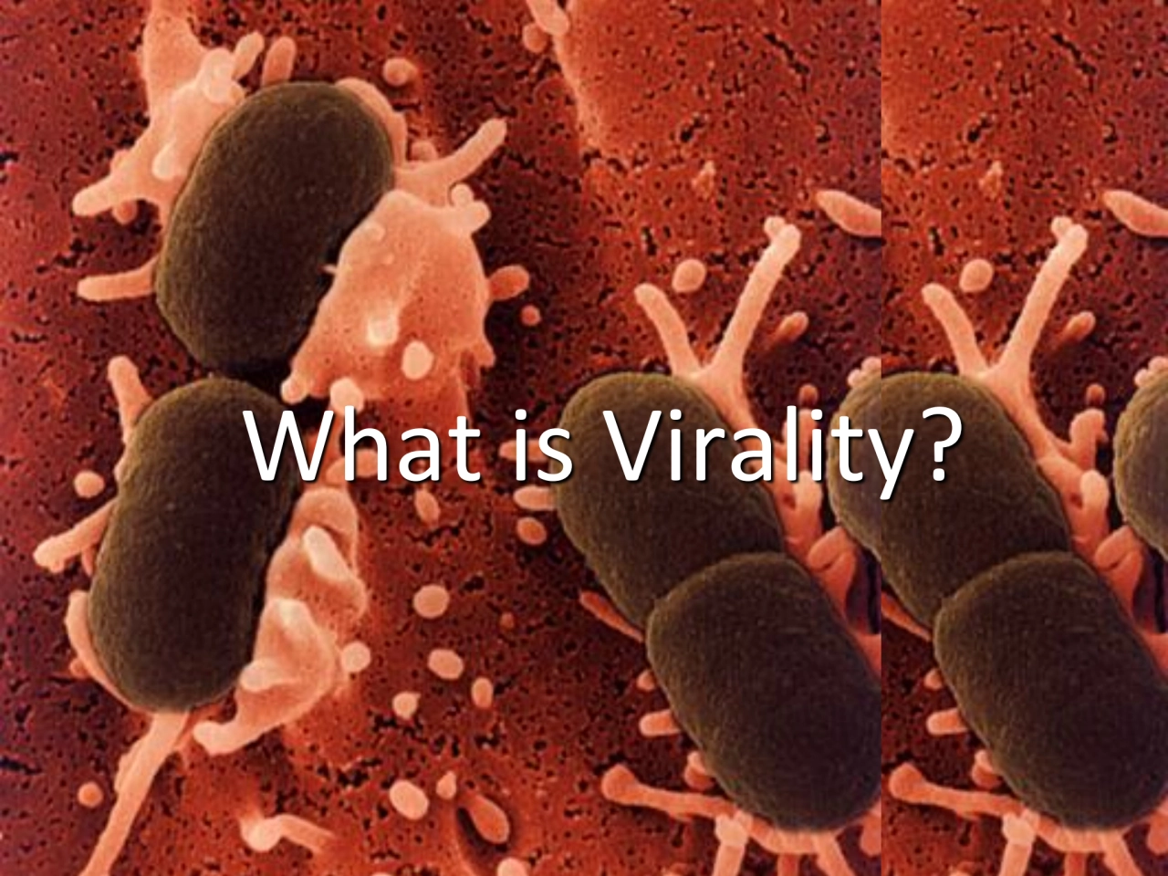 What is Virality?