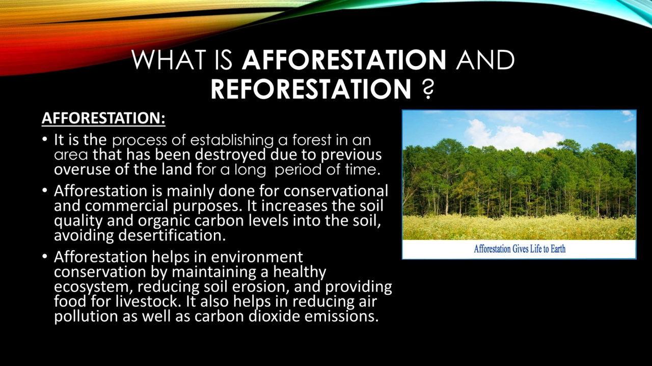 WHAT IS AFFORESTATION AND 
REFORESTATION ?
AFFORESTATION:
• It is the process of establishing a …