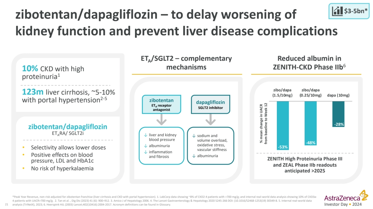 Investor Day • 2024
zibotentan/dapagliflozin – to delay worsening of 
kidney function and prevent…