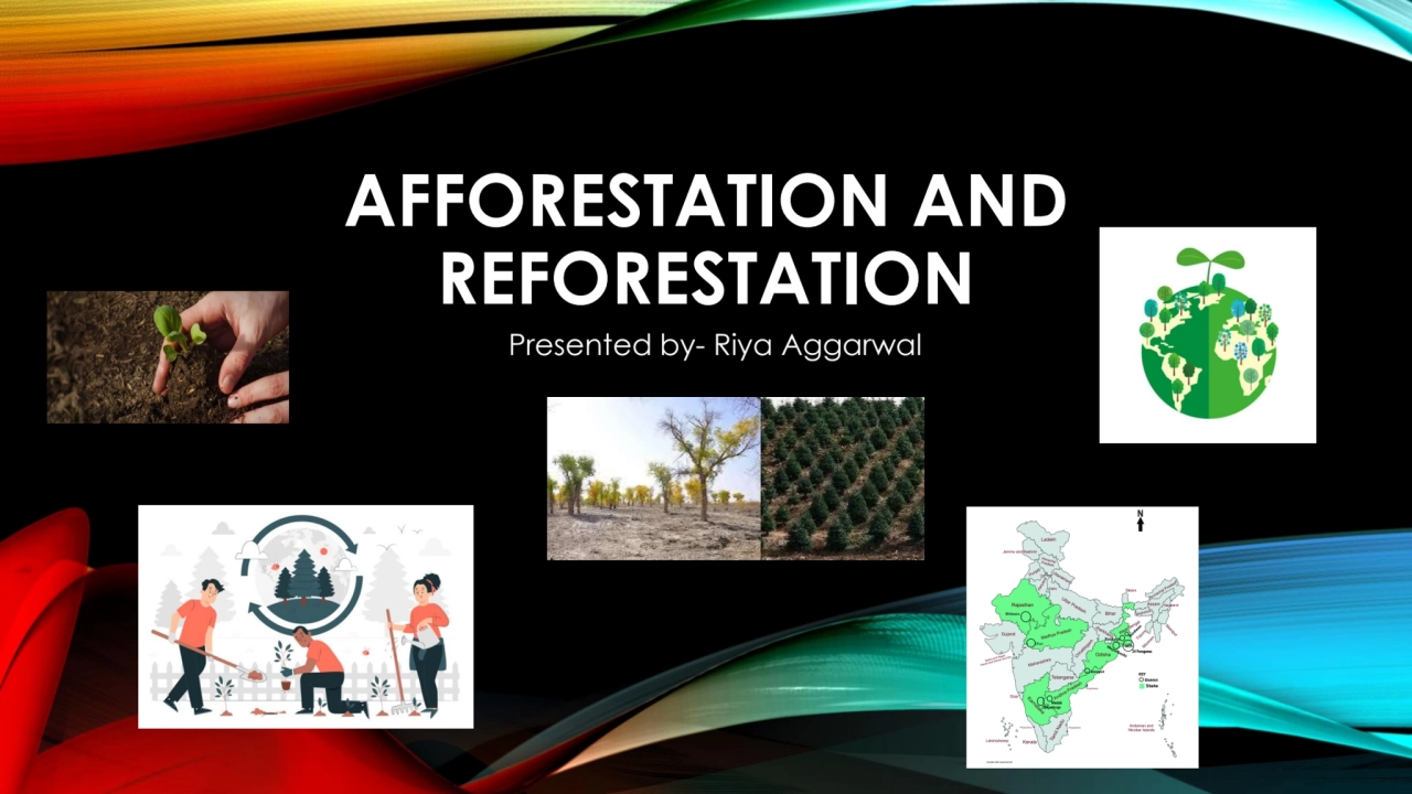 AFFORESTATION AND 
REFORESTATION
Presented by- Riya Aggarwal