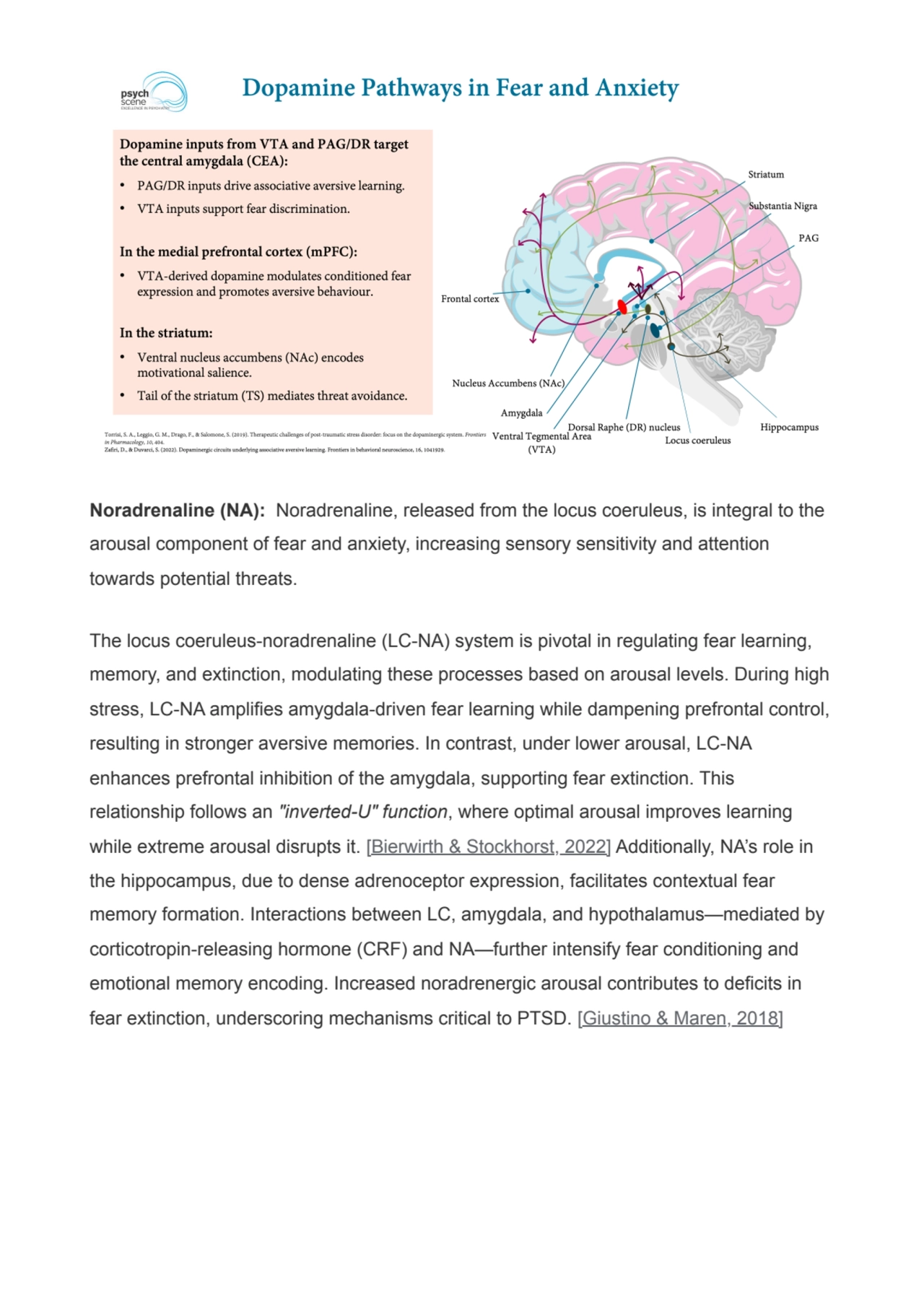 Noradrenaline (NA): Noradrenaline, released from the locus coeruleus, is integral to the
arousal c…