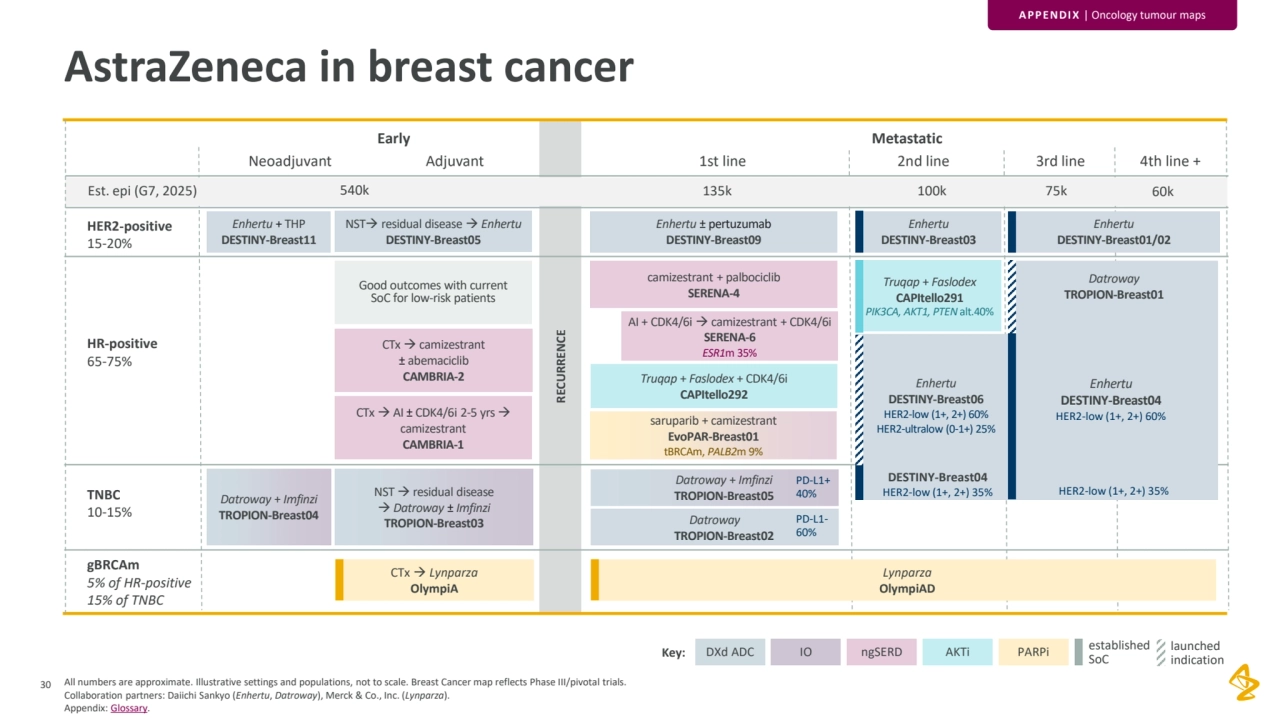 30 All numbers are approximate. Illustrative settings and populations, not to scale. Breast Cancer map reflects Phase III/pivotal trials.
Collaboration partners: Daiichi Sankyo (Enhertu, Datroway), Merck & Co., Inc. (Lynparza). 
Appendix: Glossary.
RECURRENCE
gBRCAm
5% of HR-positive
15% of TNBC
HER2-positive
15-20%
HR-positive
65-75%
TNBC
10-15%
Est. epi (G7, 2025) 540k 135k 100k 75k 60k
1st line 2nd line 3rd line 4th line +
Early
Neoadjuvant Adjuvant
Metastatic
CTx → Lynparza
OlympiA
Enhertu + THP
DESTINY-Breast11
NST → residual disease 
→ Datroway ± Imfinzi
TROPION-Breast03
CTx → AI ± CDK4/6i 2-5 yrs →
camizestrant
CAMBRIA-1
Good outcomes with current 
SoC for low-risk patients
CTx → camizestrant
± abemaciclib
CAMBRIA-2
NST→ residual disease → Enhertu
DESTINY-Breast05
PD-L1-
60%
PD-L1+ 
40% Datroway + Imfinzi
TROPION-Breast04
Lynparza
OlympiAD
camizestrant + palbociclib
SERENA-4
AI + CDK4/6i → camizestrant + CDK4/6i 
SERENA-6 
ESR1m 35%
Enhertu ± pertuzumab
DESTINY-Breast09
Datroway
TROPION-Breast02
Datroway + Imfinzi
TROPION-Breast05
Truqap + Faslodex + CDK4/6i
CAPItello292
saruparib + camizestrant
EvoPAR-Breast01
tBRCAm, PALB2m 9%
Enhertu
DESTINY-Breast03
Enhertu
DESTINY-Breast01/02
Datroway
TROPION-Breast01
Enhertu
DESTINY-Breast06
HER2-low (1+, 2+) 60%
HER2-ultralow (0-1+) 25%
Truqap + Faslodex
CAPItello291
PIK3CA, AKT1, PTEN alt.40%
HER2-low (1+, 2+) 35%
PD-L1-
60%
DESTINY-Breast04
HER2-low (1+, 2+) 35%
Enhertu
DESTINY-Breast04
HER2-low (1+, 2+) 60%
PD-L1+ 
40%
established 
SoC
launched 
indication
AstraZeneca in breast cancer
Key: DXd ADC IO ngSERD AKTi PARPi
APPENDIX | Oncology tumour maps
