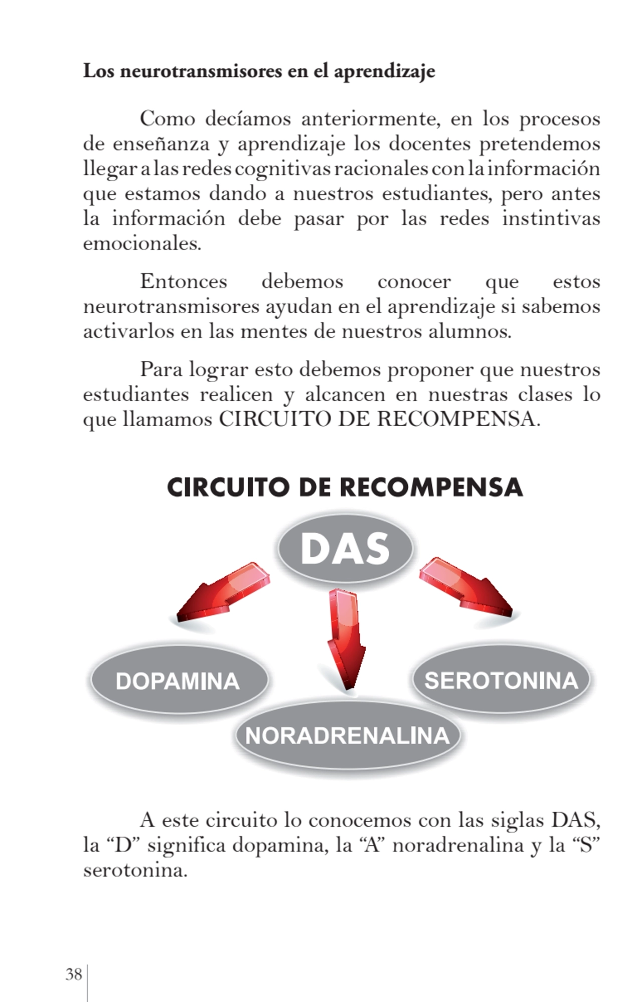 38 
Los neurotransmisores en el aprendizaje
Como decíamos anteriormente, en los procesos 
de ens…