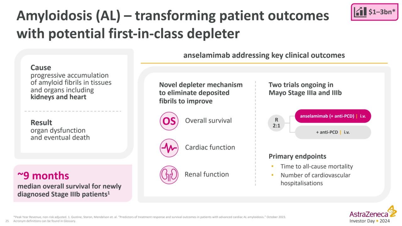 Investor Day • 2024
Amyloidosis (AL) – transforming patient outcomes 
with potential first-in-cla…