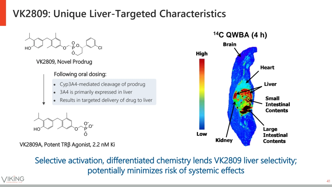 VK2809: Unique Liver-Targeted Characteristics 
VK2809, Novel Prodrug
VK2809A, Potent TRβ Agonist,…