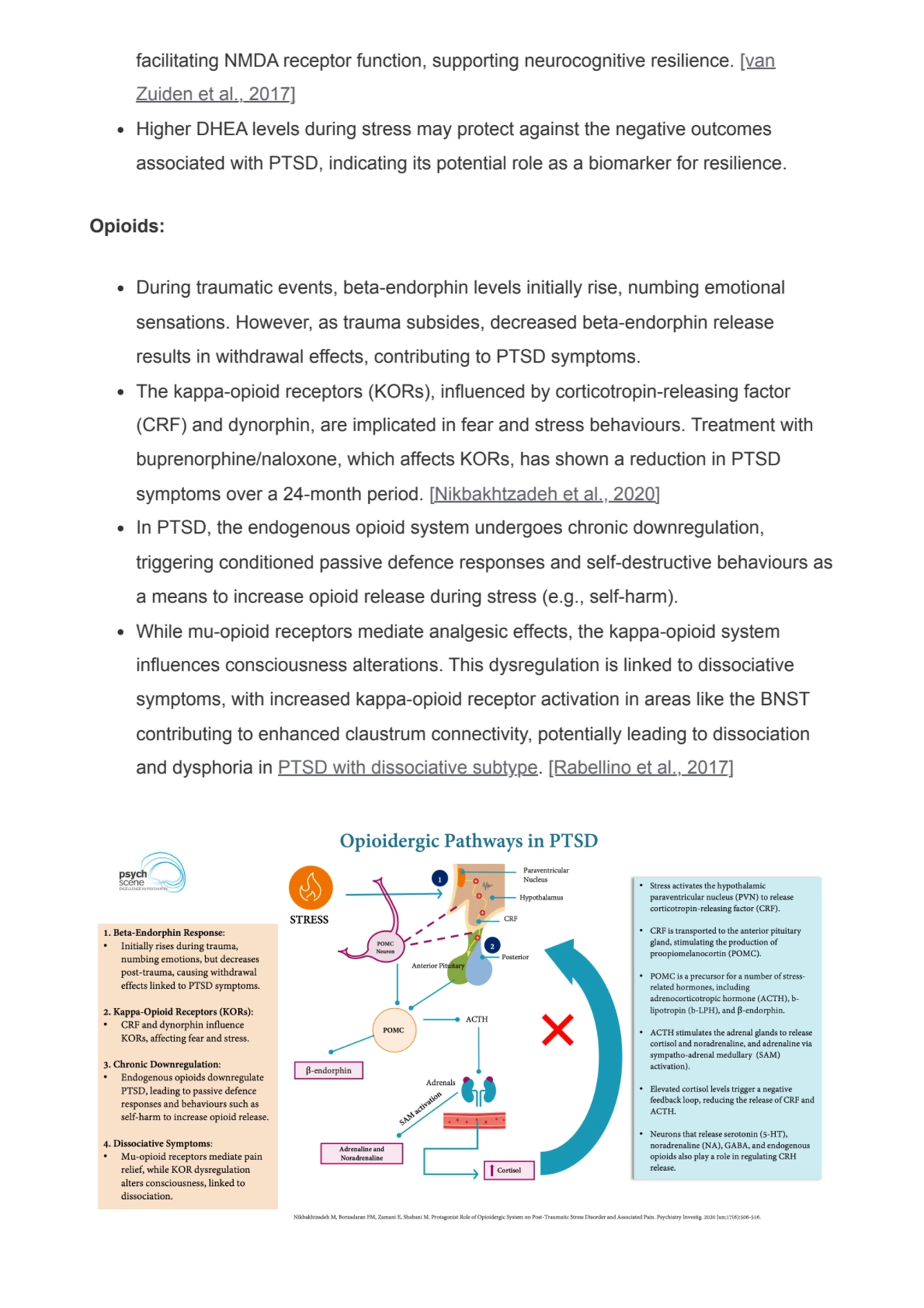 facilitating NMDA receptor function, supporting neurocognitive resilience. [van
Zuiden et al., 201…