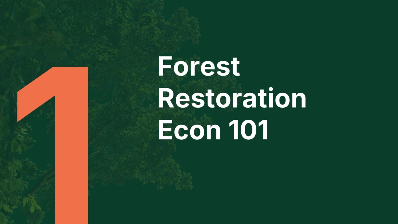 Forest 
Restoration 
Econ 101