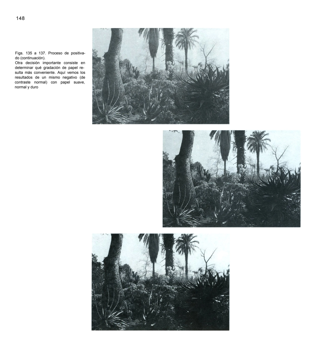 148
Figs. 135 a 137. Proceso de positivado (continuación).
Otra decisión importante consiste en …