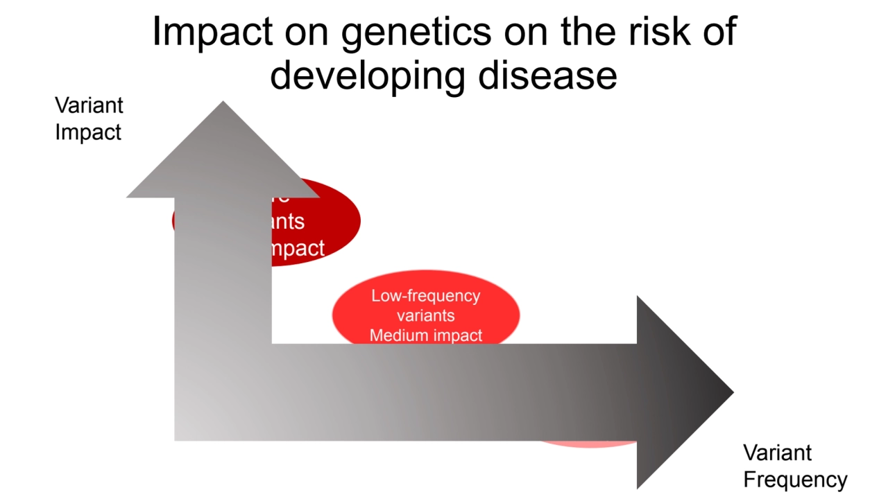 Impact on genetics on the risk of 
developing disease
Rare 
variants
High impact
Common 
vari…