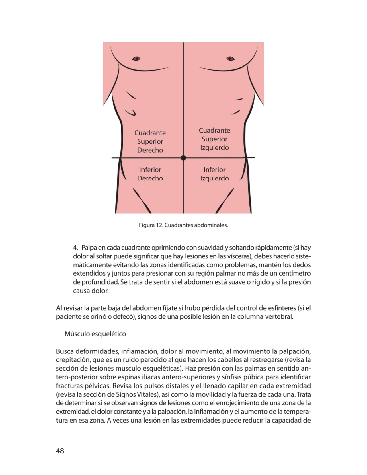 48
Figura 12. Cuadrantes abdominales.
4. Palpa en cada cuadrante oprimiendo con suavidad y soltan…