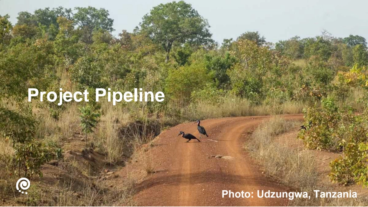 Photo: Udzungwa, Tanzania
Project Pipeline