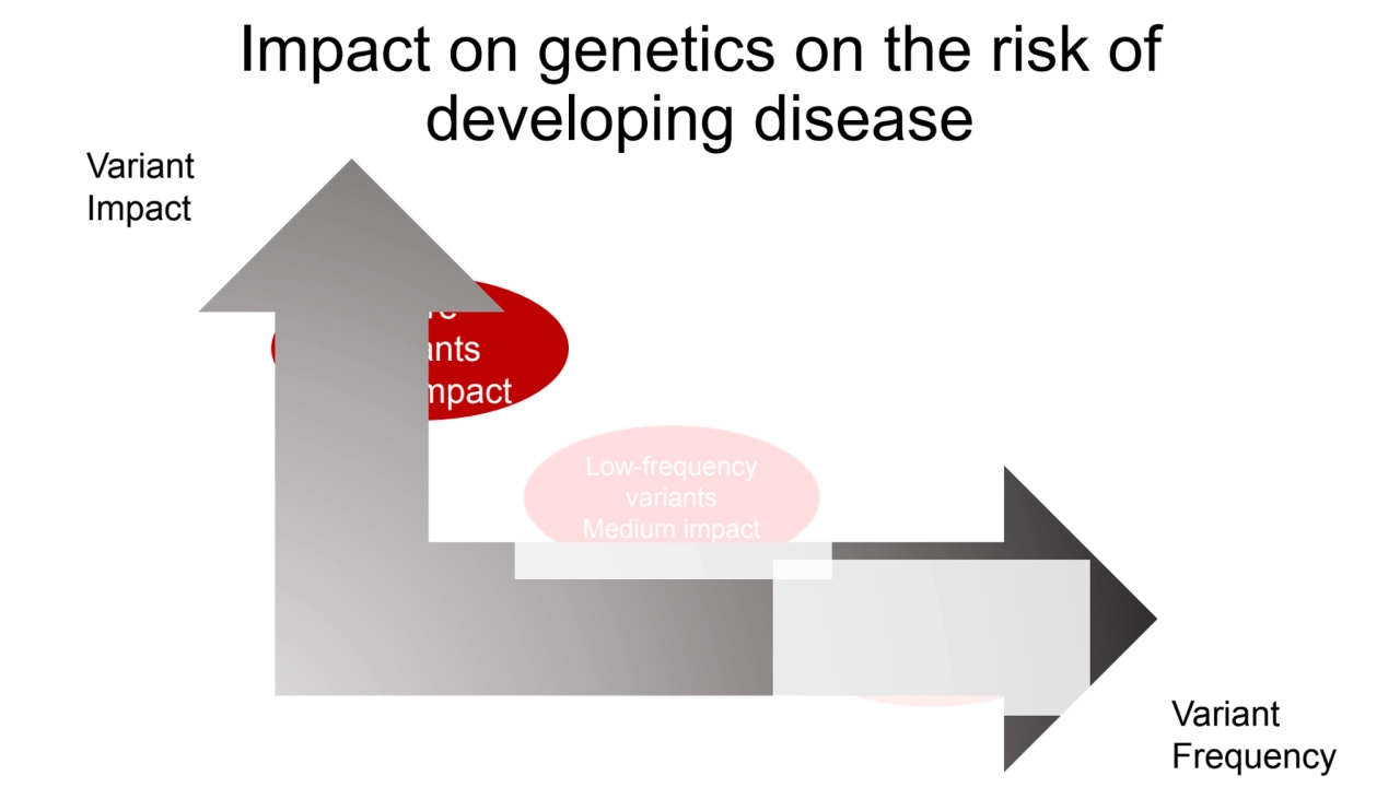 Impact on genetics on the risk of 
developing disease
Rare 
variants
High impact
Common 
vari…