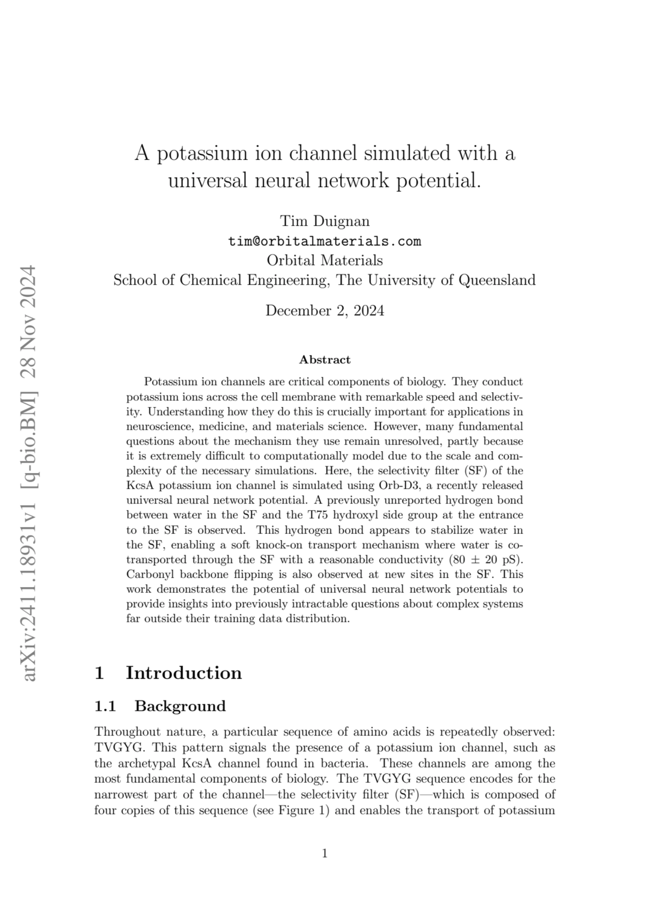 A potassium ion channel simulated with a universal neural network potential