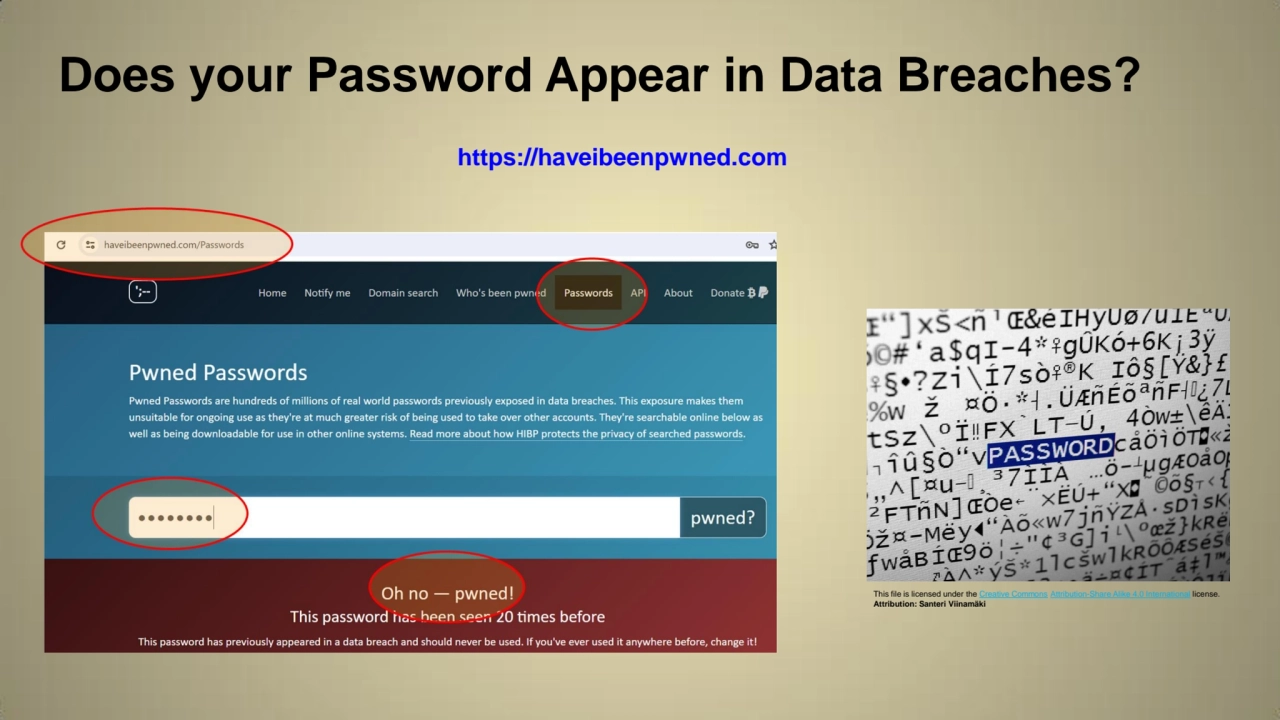 Does your Password Appear in Data Breaches?
This file is licensed under the Creative Commons Attri…