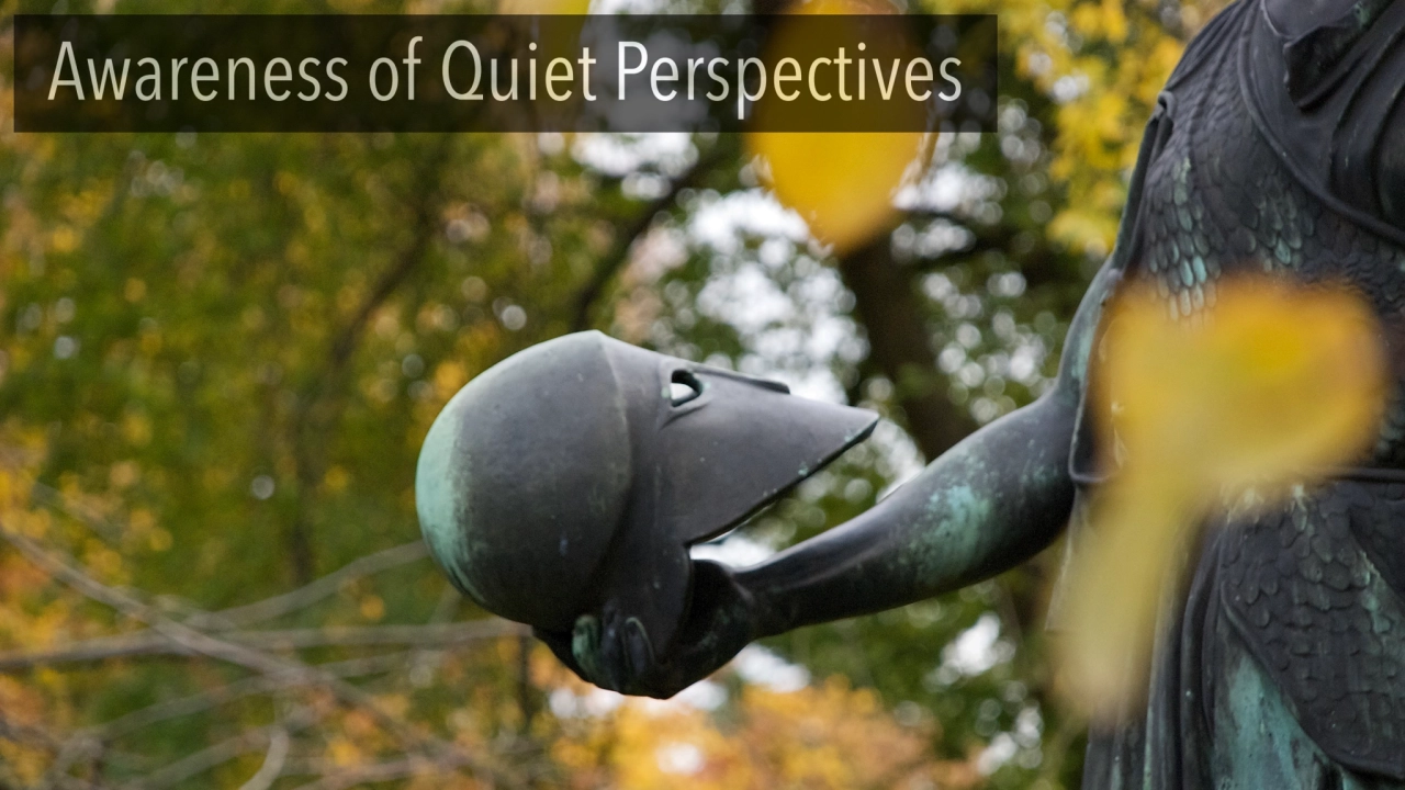 Awareness of Quiet Perspectives