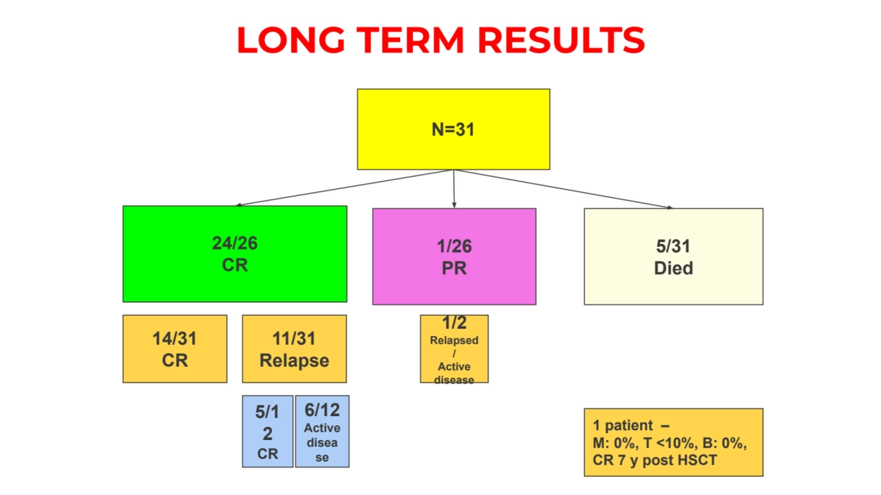 LONG TERM RESULTS
N=31 
24/26
CR
1/26
PR
5/31
Died 
14/31
CR
1/2
Relapsed
/
Active 
d…