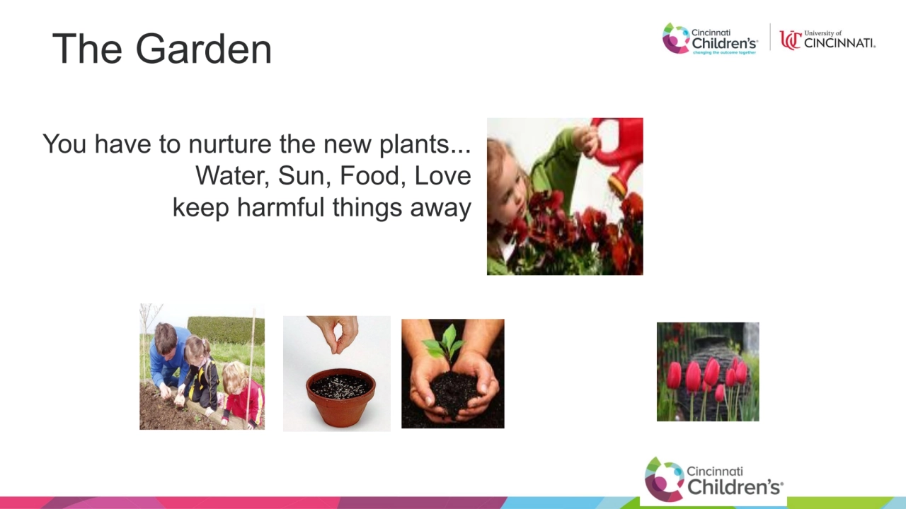 You have to nurture the new plants...
Water, Sun, Food, Love
keep harmful things away
The Garden