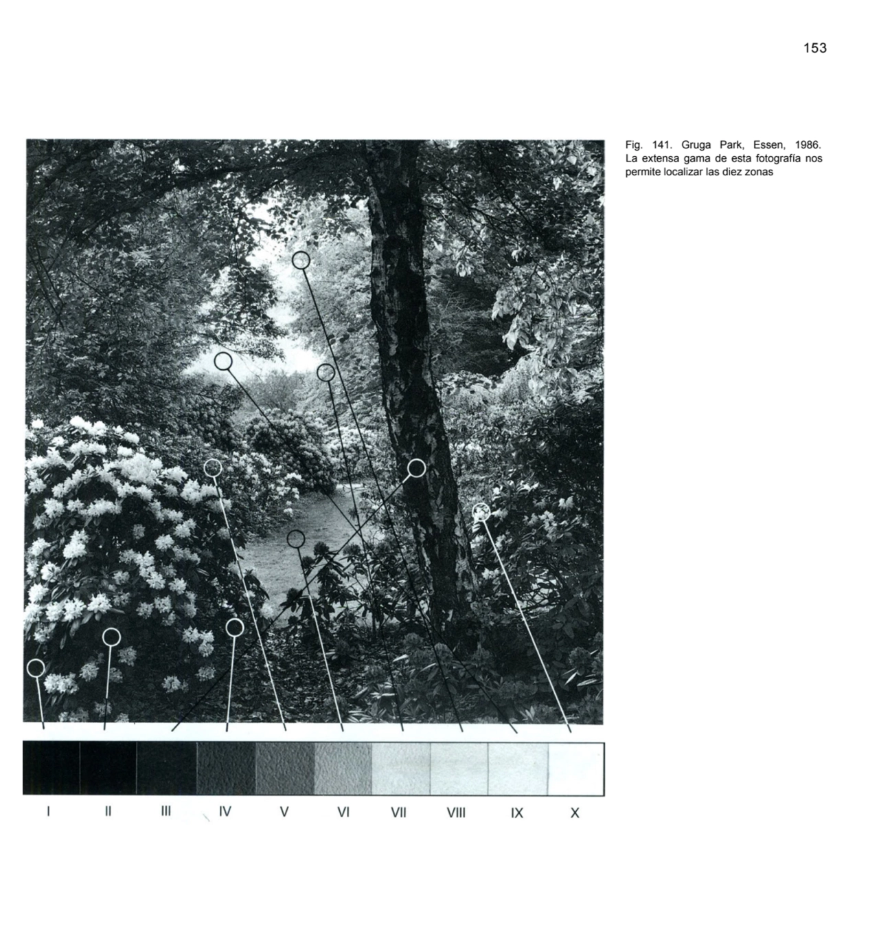 153
Fig. 141. Gruga Park, Essen, 1986. 
La extensa gama de esta fotografía nos 
permite localiza…