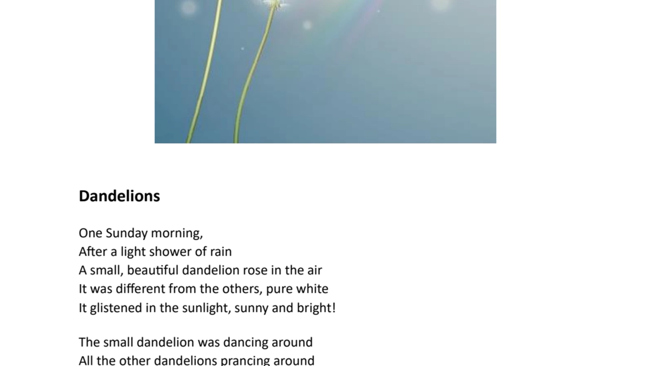 Dandelions - A Poem