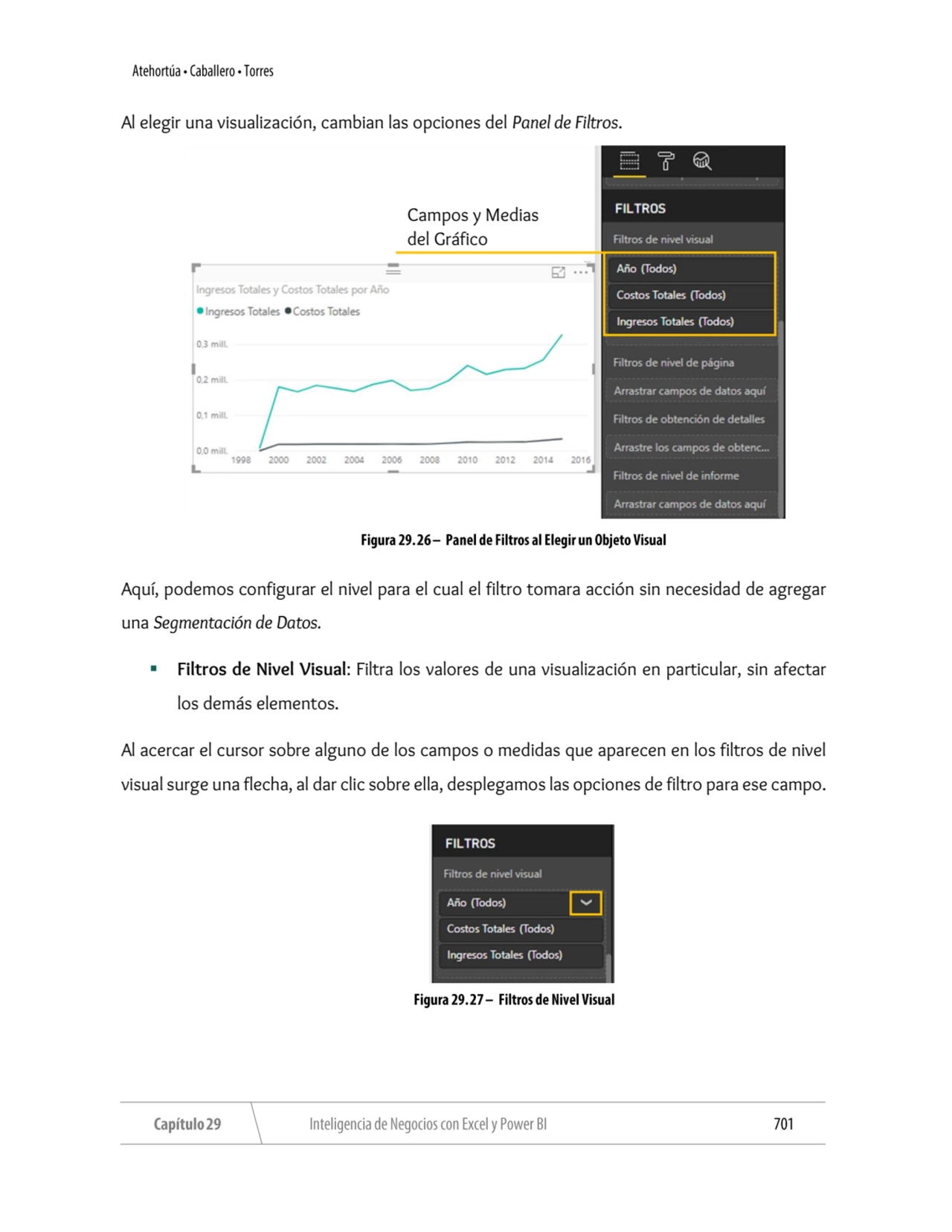 Al elegir una visualización, cambian las opciones del Panel de Filtros. 
Aquí, podemos configurar …