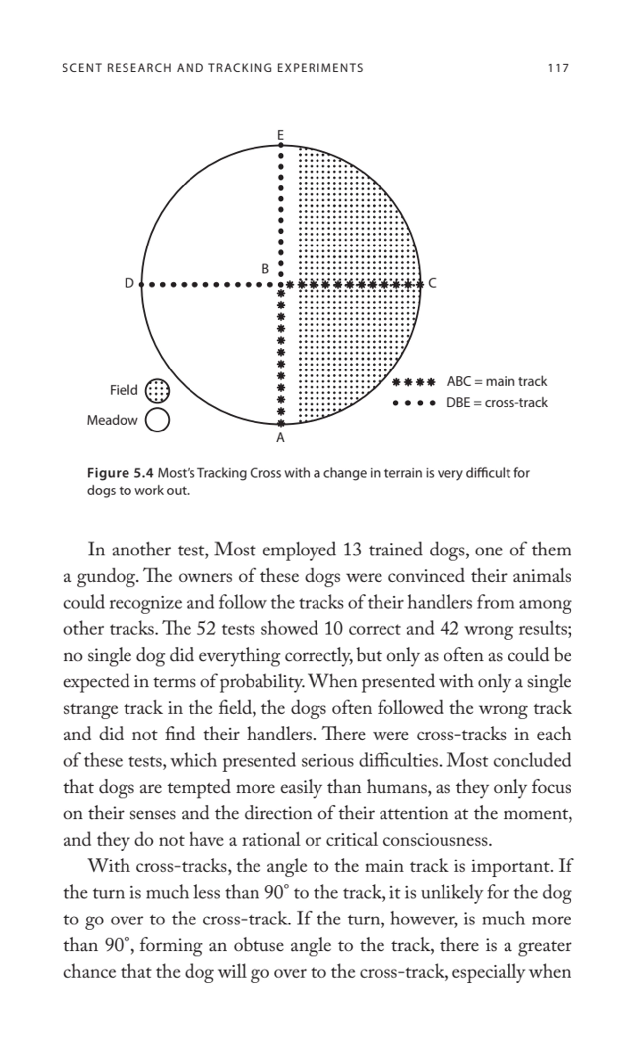 SCENT RESEARCH AND TRACKING EXPERIMENTS 117
In another test, Most employed 13 trained dogs, one of…