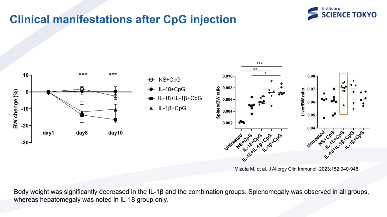 *** ***
IL-18+IL-1β+CpG
IL-1β+CpG
Body weight was significantly decreased in the IL-1β and the c…