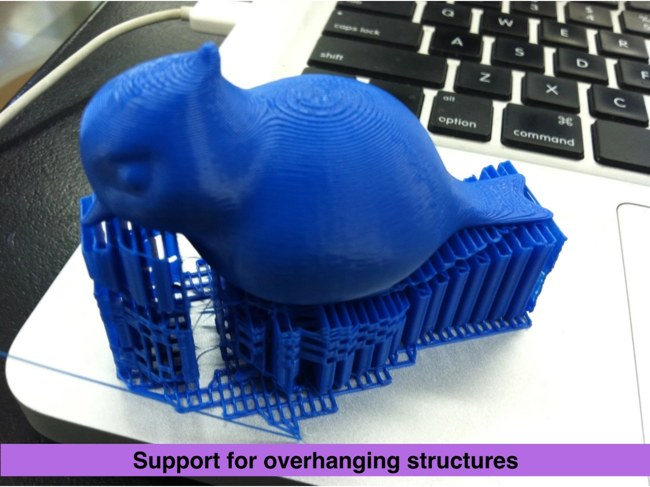 Support for overhanging structures