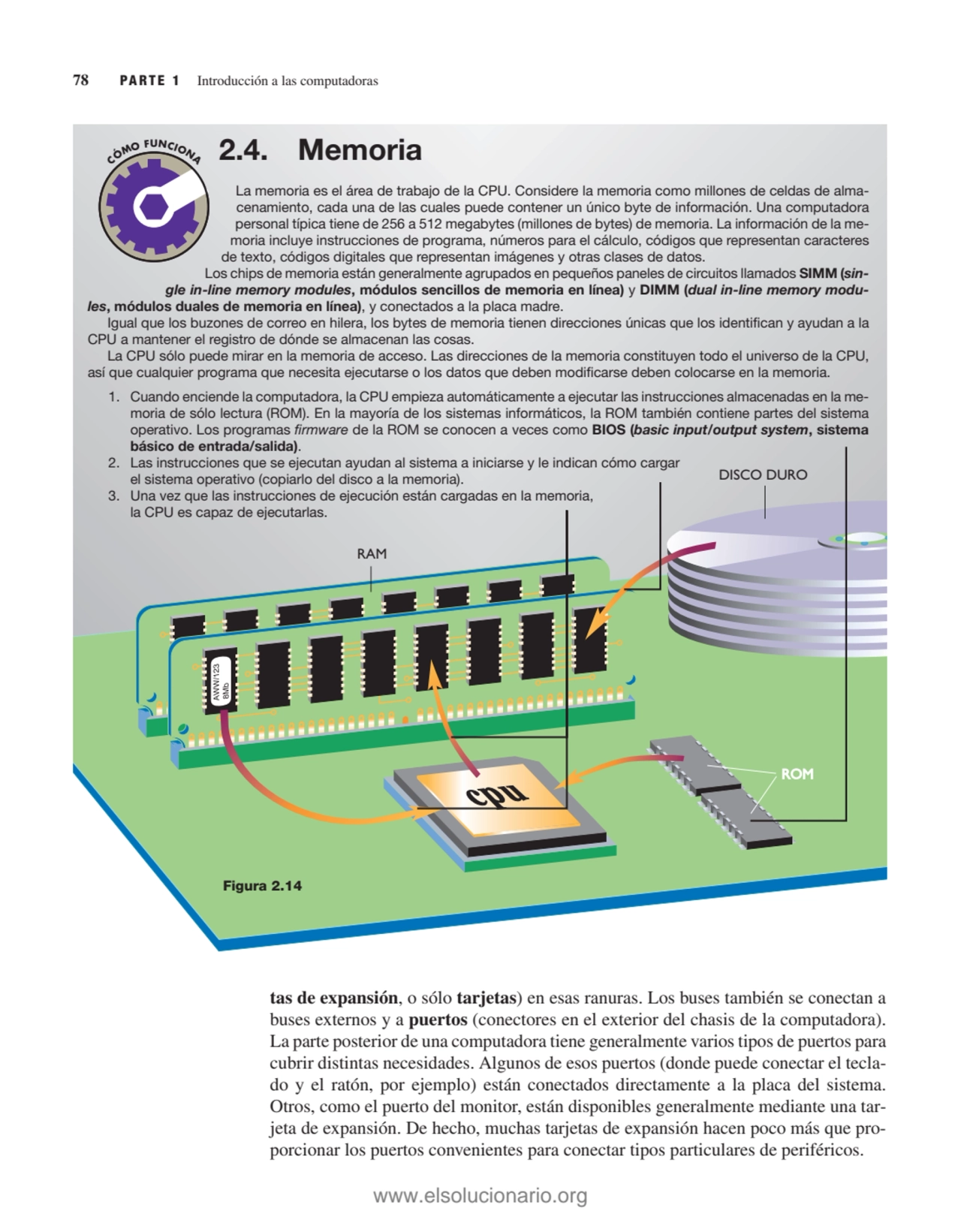 tas de expansión, o sólo tarjetas) en esas ranuras. Los buses también se conectan a
buses externos…