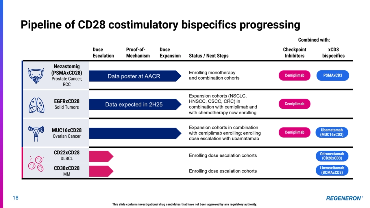 Dose 
Escalation
Proof-ofMechanismDose 
Expansion Status / Next Steps
Combined with:
Checkpoint 
Inhibitors
xCD3 
bispecifics
Nezastomig
(PSMAxCD28)
Prostate Cancer; 
RCC
Enrolling monotherapy 
and combination cohorts
EGFRxCD28
Solid Tumors
Expansion cohorts (NSCLC, 
HNSCC, CSCC, CRC) in 
combination with cemiplimab and 
with chemotherapy now enrolling
MUC16xCD28
Ovarian Cancer
Expansion cohorts in combination 
with cemiplimab enrolling; enrolling 
dose escalation with ubamatamab
CD22xCD28
DLBCL Enrolling dose escalation cohorts
CD38xCD28
MM Enrolling dose escalation cohorts
18
Pipeline of CD28 costimulatory bispecifics progressing
Data poster at AACR
Data expected in 2H25
Cemiplimab PSMAxCD3
Cemiplimab
Cemiplimab
Ubamatamab
(MUC16xCD3)
Odronextamab
(CD20xCD3)
Linvoseltamab
(BCMAxCD3)
This slide contains investigational drug candidates that have not been approved by any regulatory authority.