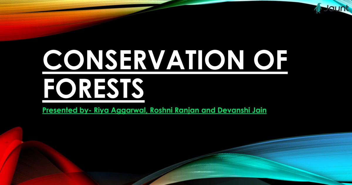 Conservation Of Forests 