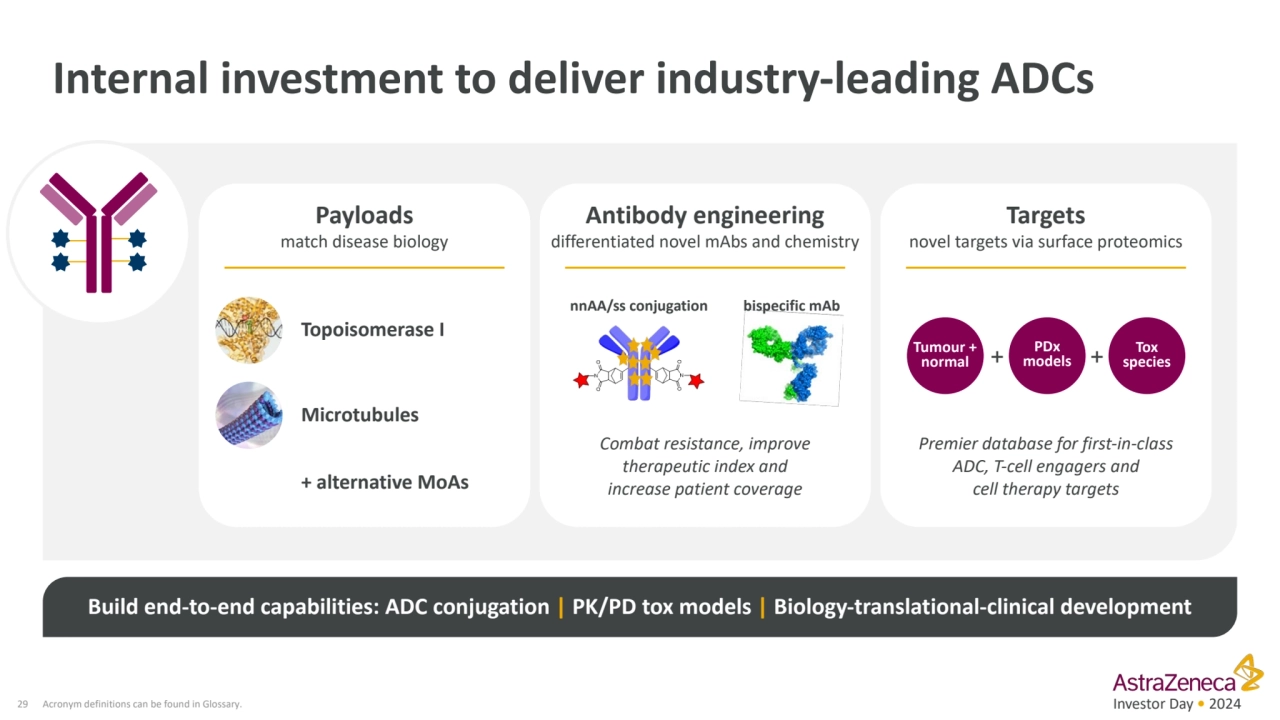 Investor Day • 2024
Internal investment to deliver industry-leading ADCs
29
Build end-to-end cap…