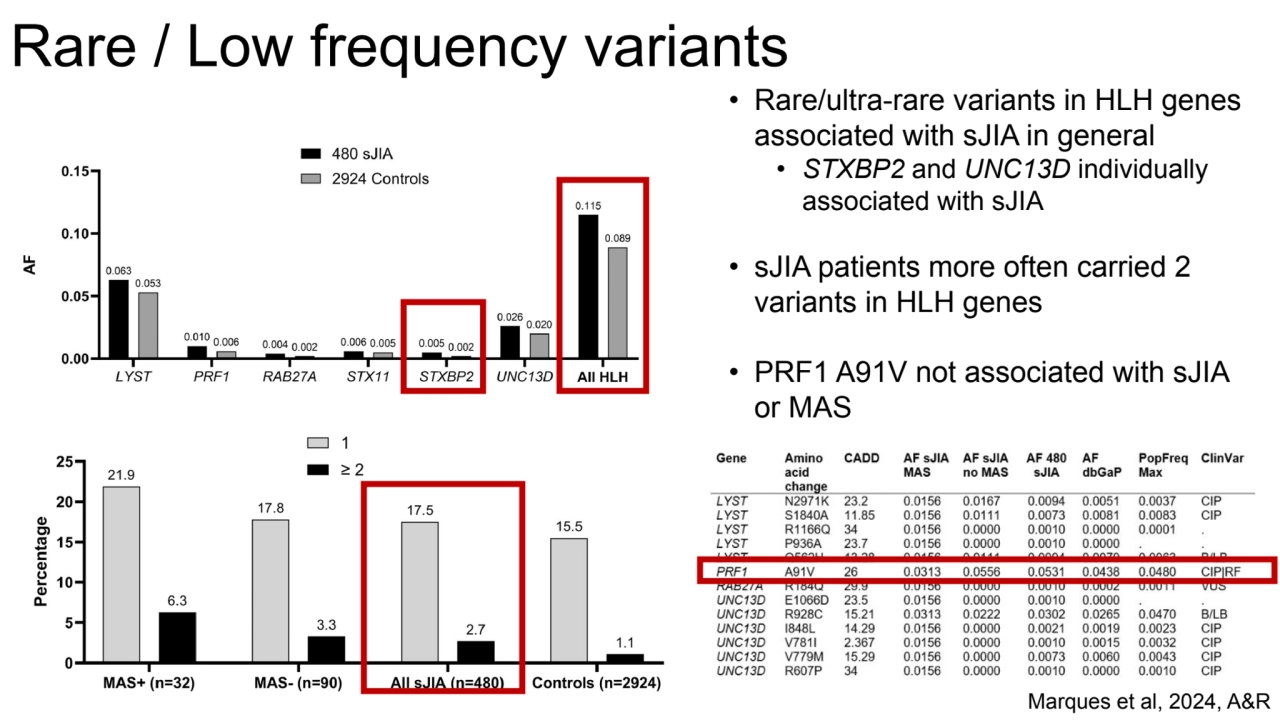 Rare / Low frequency variants
Marques et al, 2024, A&R
• Rare/ultra-rare variants in HLH genes 
…