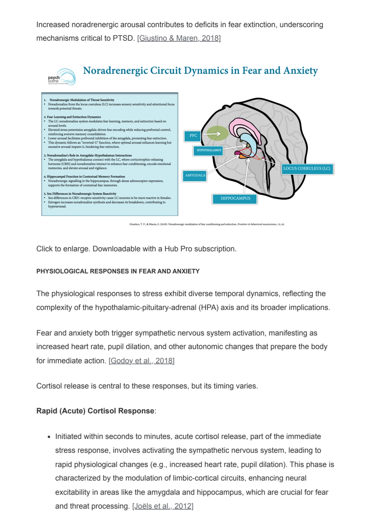 Increased noradrenergic arousal contributes to deficits in fear extinction, underscoring
mechanism…