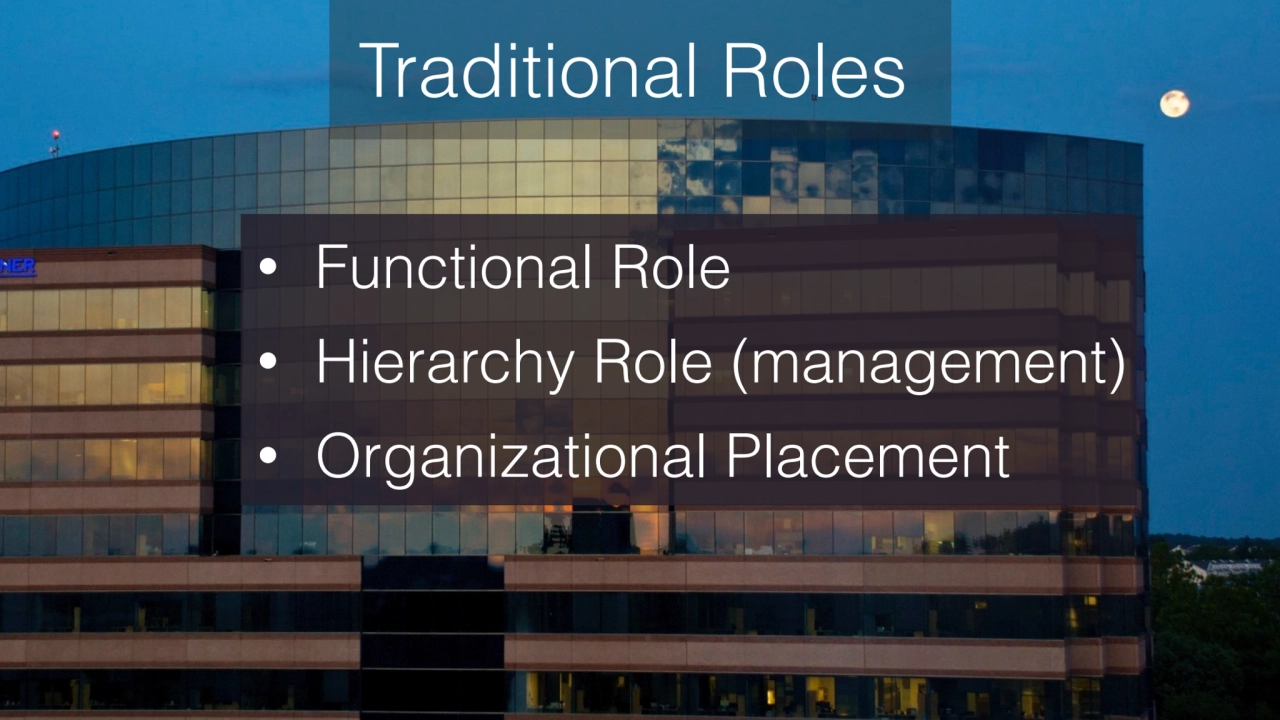 Traditional Roles
• Functional Role 
• Hierarchy Role (management) 
• Organizational Placement