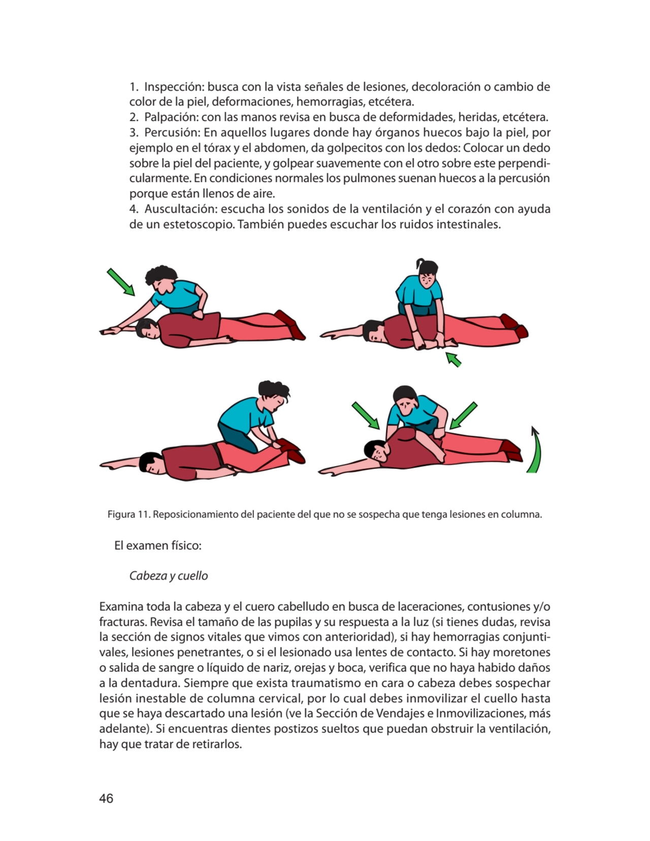 46
1. Inspección: busca con la vista señales de lesiones, decoloración o cambio de 
color de la p…