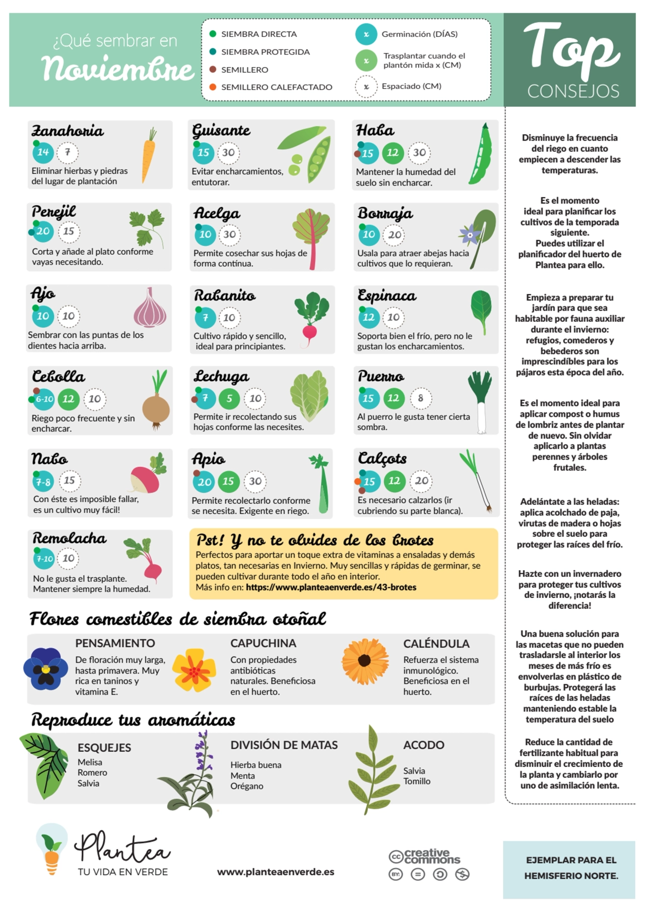 ¿Qué sembrar en SIEMBRA DIRECTA
SIEMBRA PROTEGIDA
SEMILLERO Noviembre
SEMILLERO CALEFACTADO x Es…