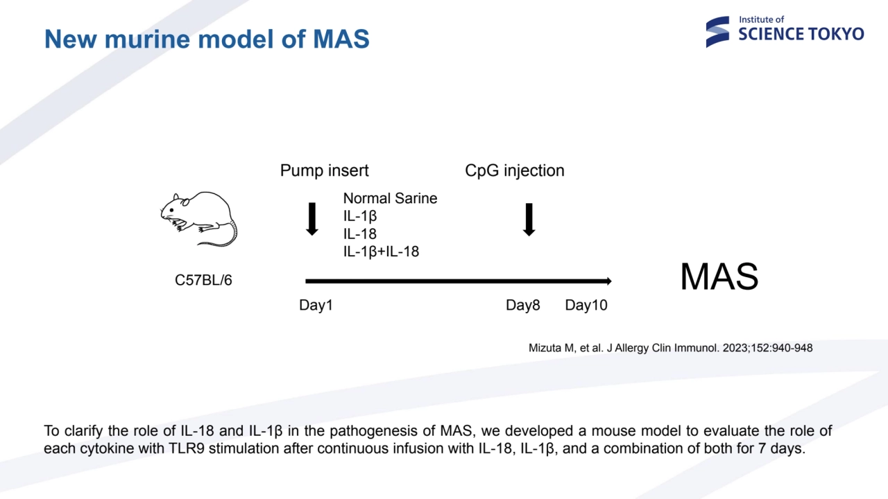 Day1 Day8 Day10
Pump insert 　　 CpG injection
C57BL/6
Normal Sarine
IL-1β
IL-18
IL-1β+IL-18
M…