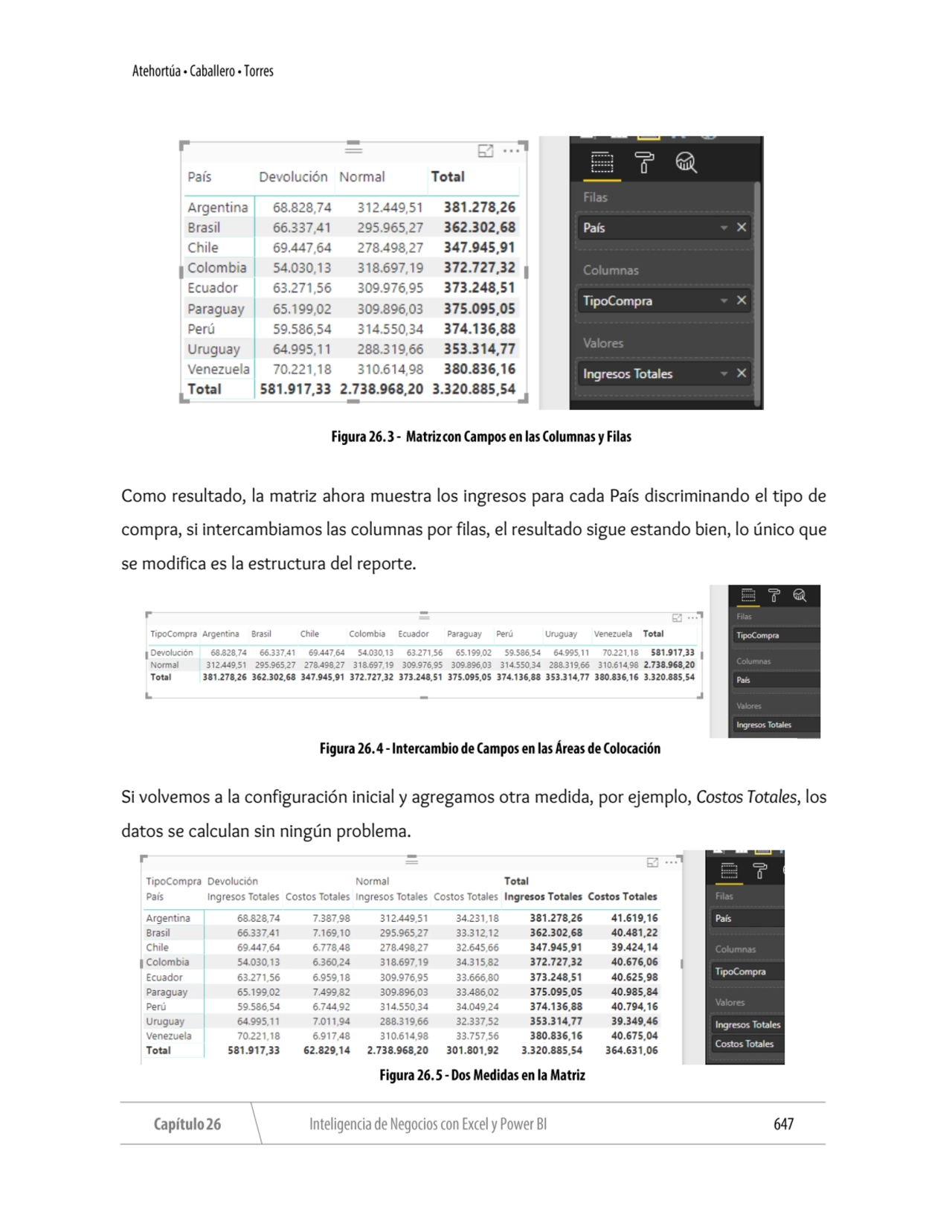 Como resultado, la matriz ahora muestra los ingresos para cada País discriminando el tipo de 
comp…