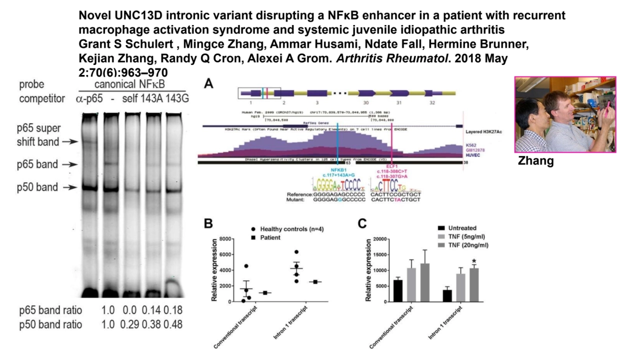 Novel UNC13D intronic variant disrupting a NFκB enhancer in a patient with recurrent 
macrophage a…